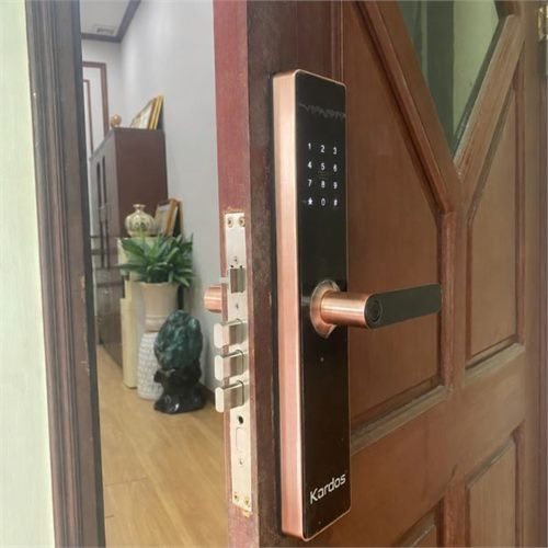 Kardos SmartLock L8 Viền Đồng